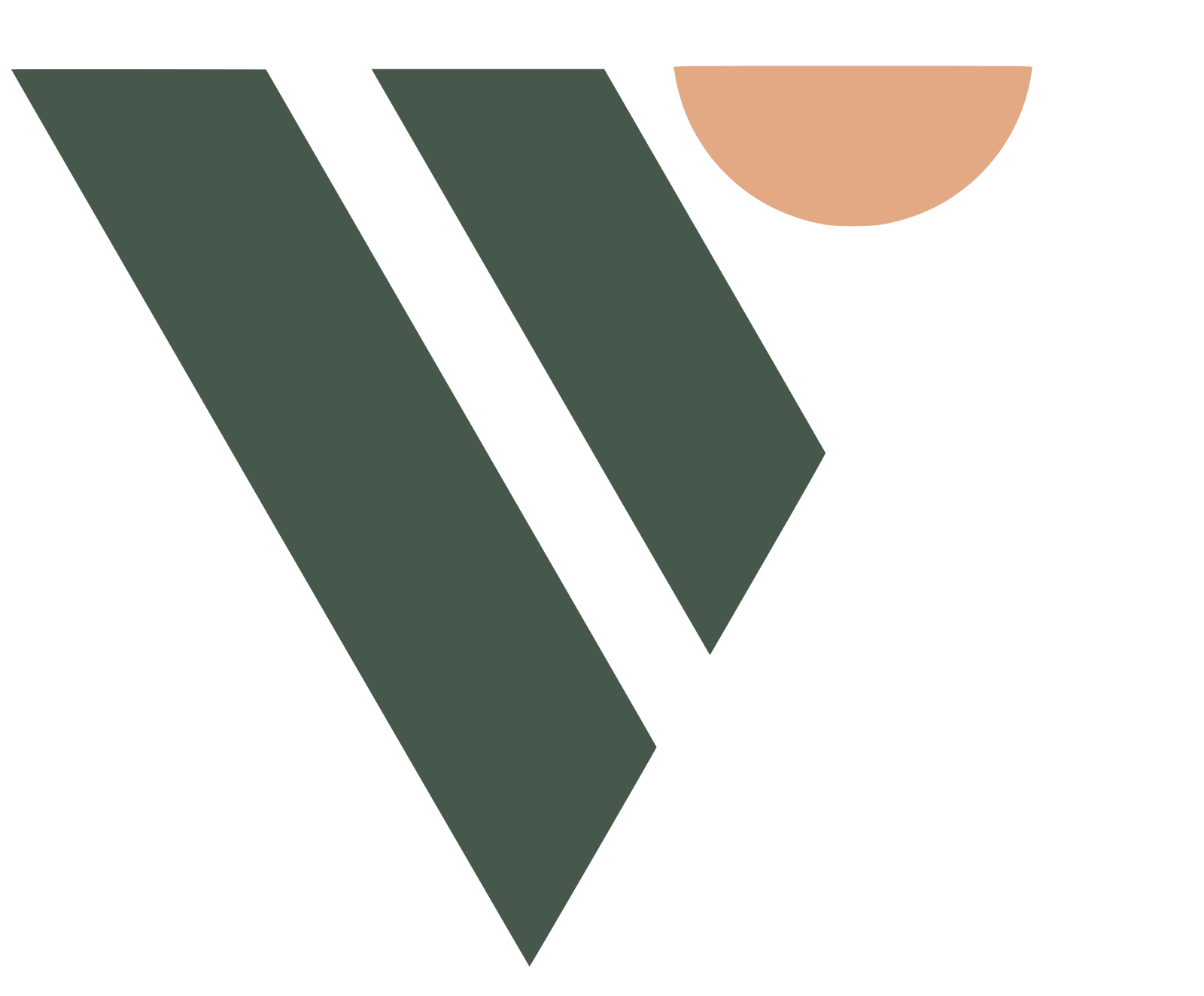 Verdana Rehab Solutions